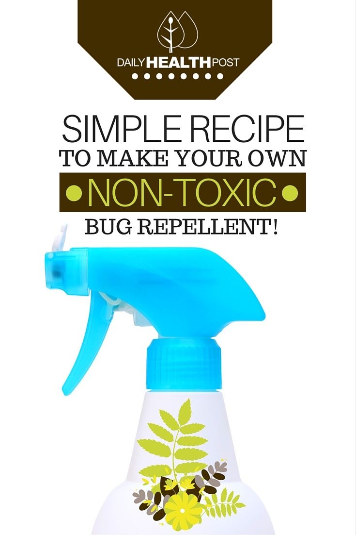 Simple Recipe To Make Your Own Non-Toxic Bug Repellent! in Simple DIY non-toxic garden spray recipes for healthy plants