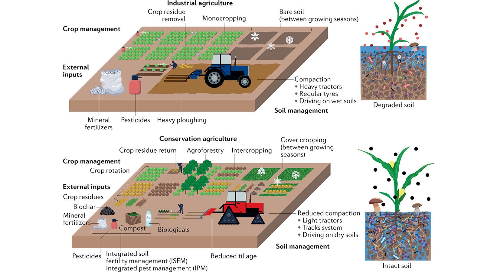 Soil Microbiomes – A Nature-Based Solution For Sustainable Agriculture ... regarding Eco-Friendly Soil Testing Kit