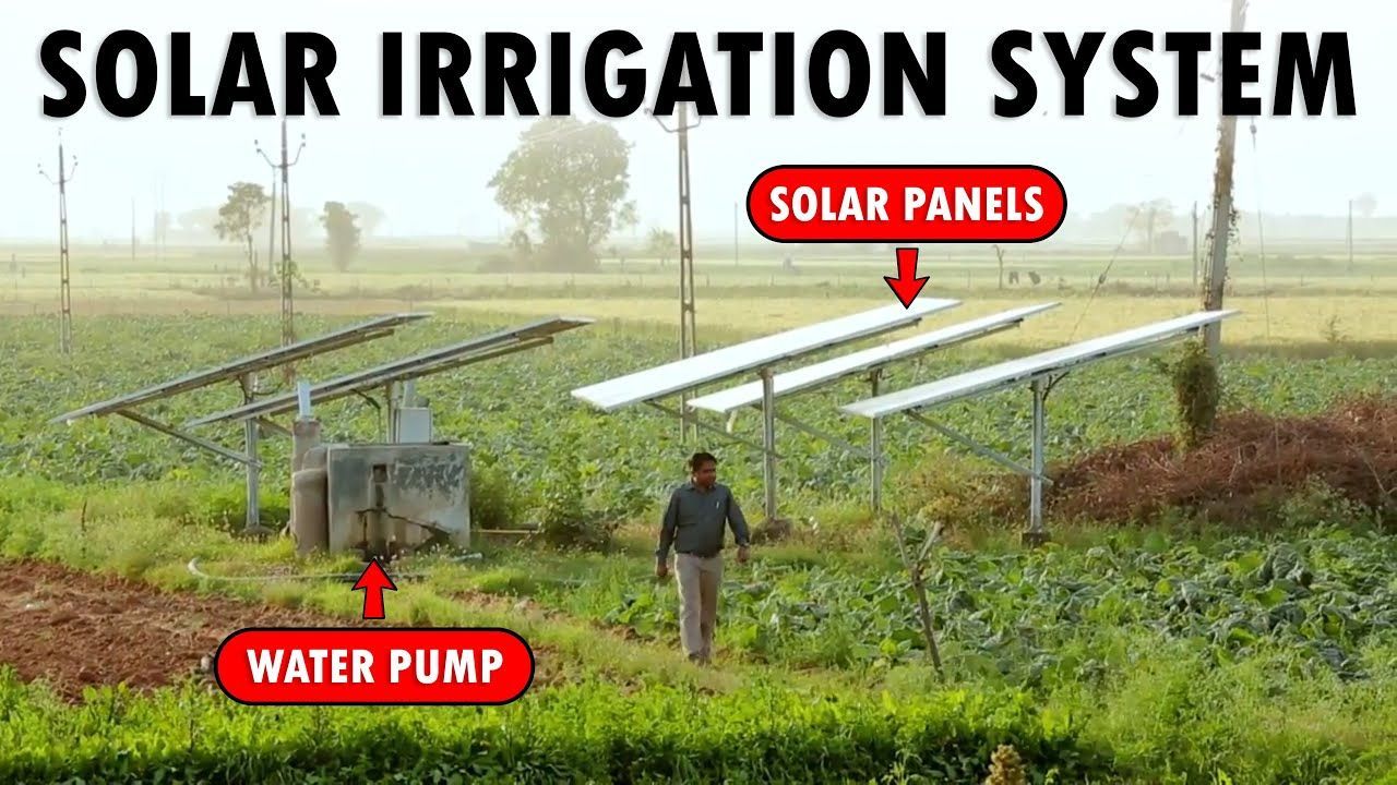 Real-world performance of solar drip irrigation pumps