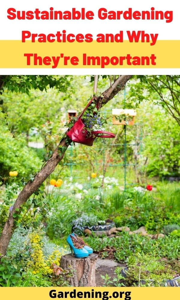 Sustainable Gardening Practices And Why They're Important | Sustainable ... with How Long Handles Enhance Sustainable Gardening Practices