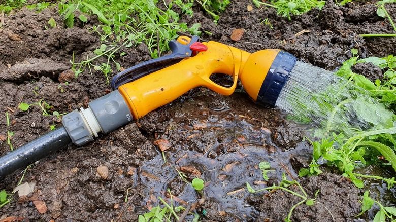 The 5 Best Tools For Watering Your Plants with regard to Tips for maintaining and extending the life of your battery powered eco hose nozzle