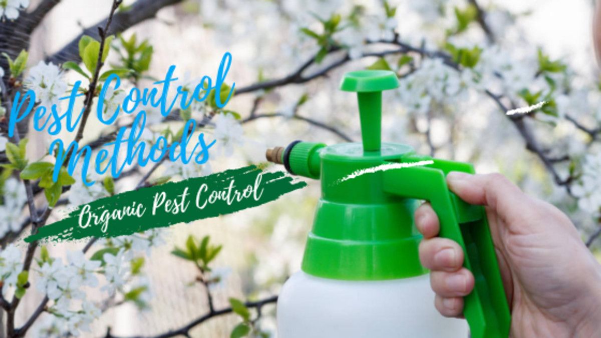 The Best Organic Pest Control Methods For Your Garden - Hubpages intended for Natural pest control solutions for 2025 gardeners