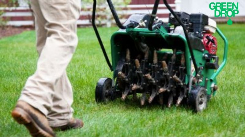 The Science Behind Lawn Aeration &amp; How It Benefits Soil inside How eco-friendly aeration tools can transform your garden health