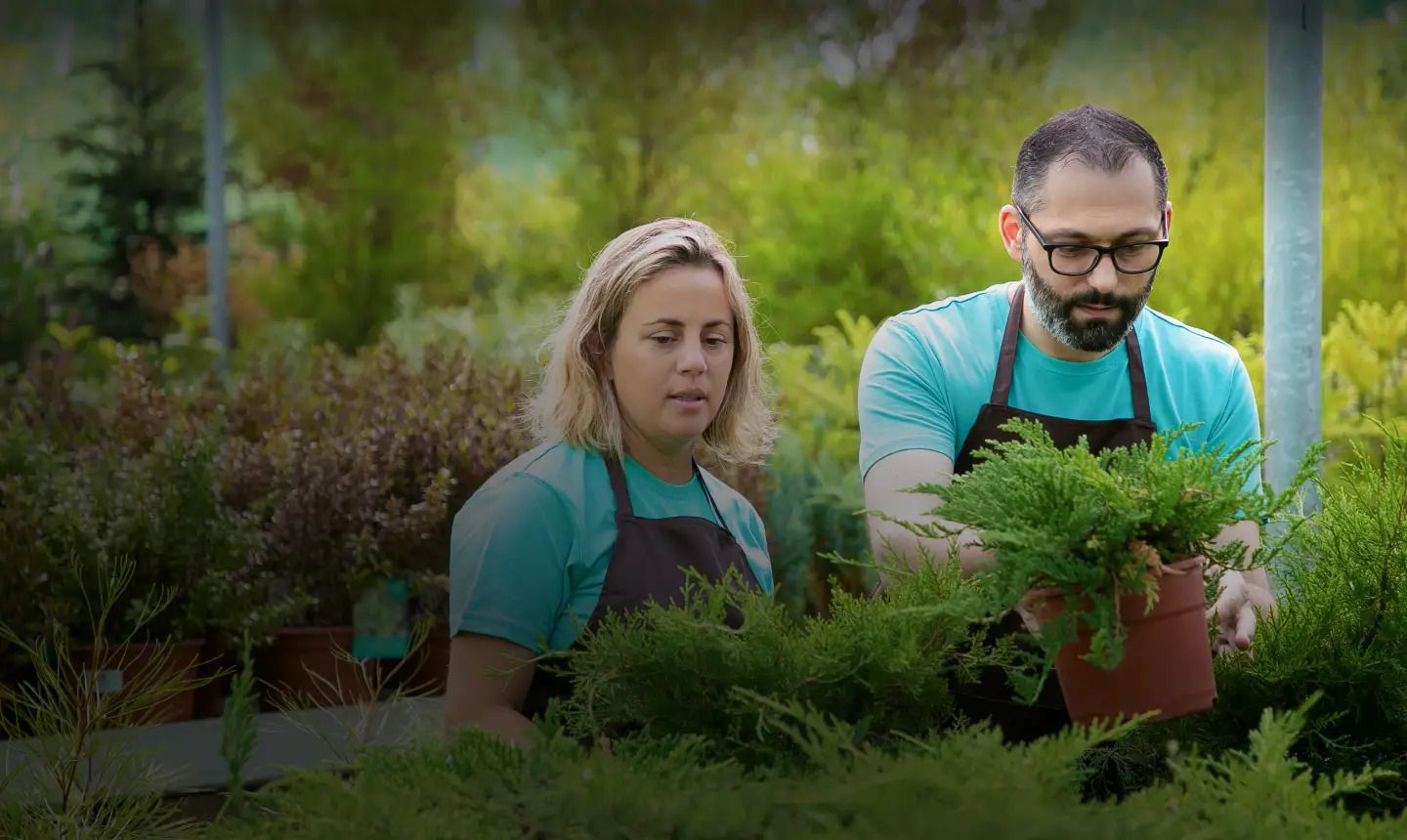 Thriving Gardening In Sudbury: Expert Tips And Insights with regard to Recycled Plastic Garden Scoop