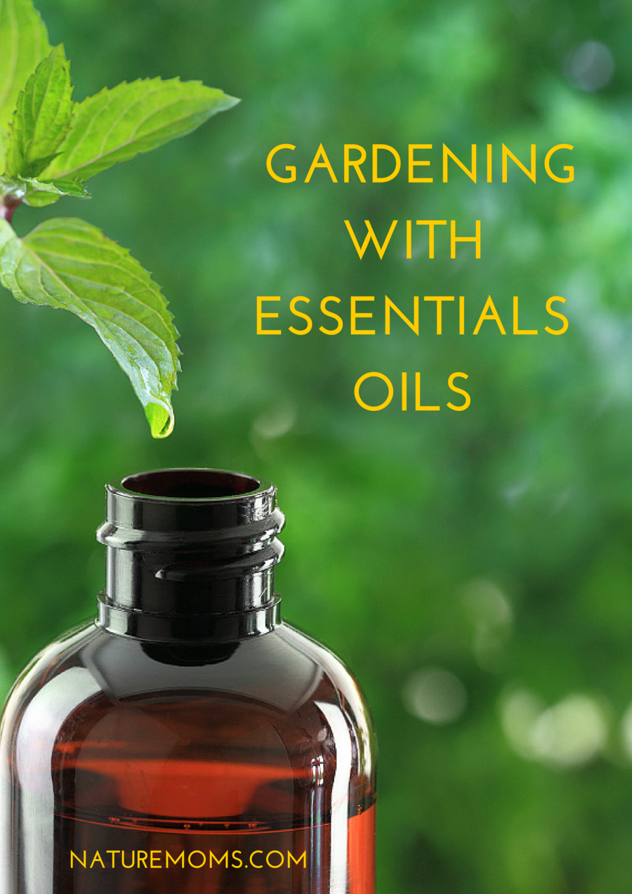 Tips For Gardening With Essentials Oils - Nature Moms in Safe and sustainable oil options for maintaining your gardening equipment