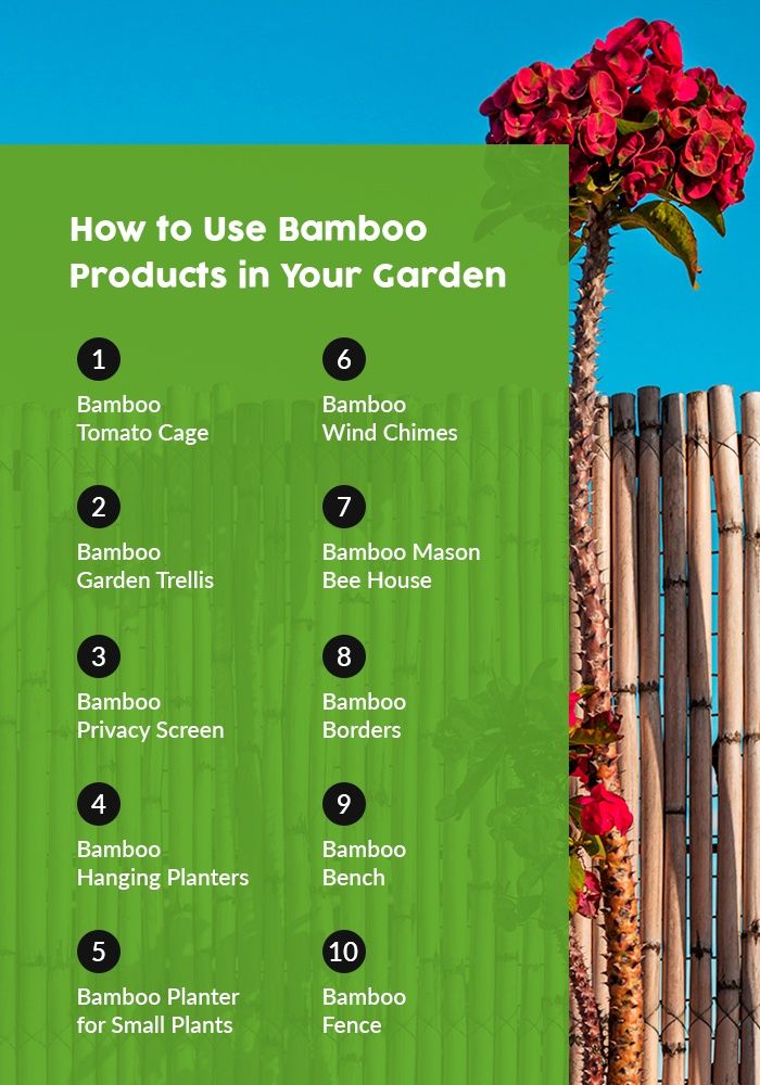 Uses Of Bamboo In The Garden At Tayla Wilkin Blog regarding Bamboo Seedling Pots Sustainable