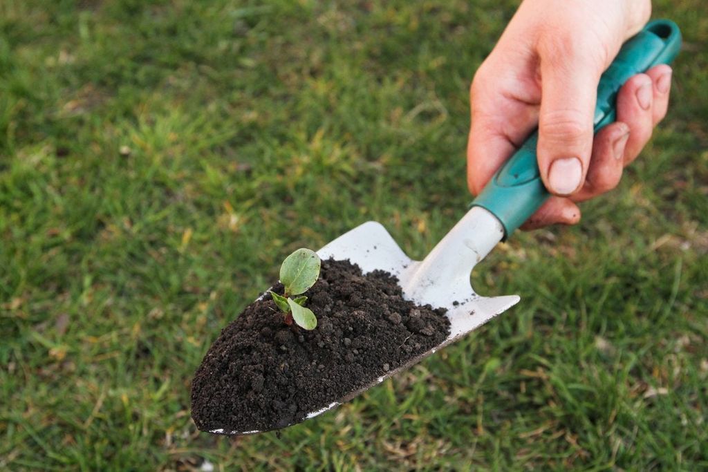 Using Gardening Trowels - When And How To Use A Trowel In The Garden ... intended for Mastering Sustainable Garden Hand Trowel Techniques for Better Soil Health