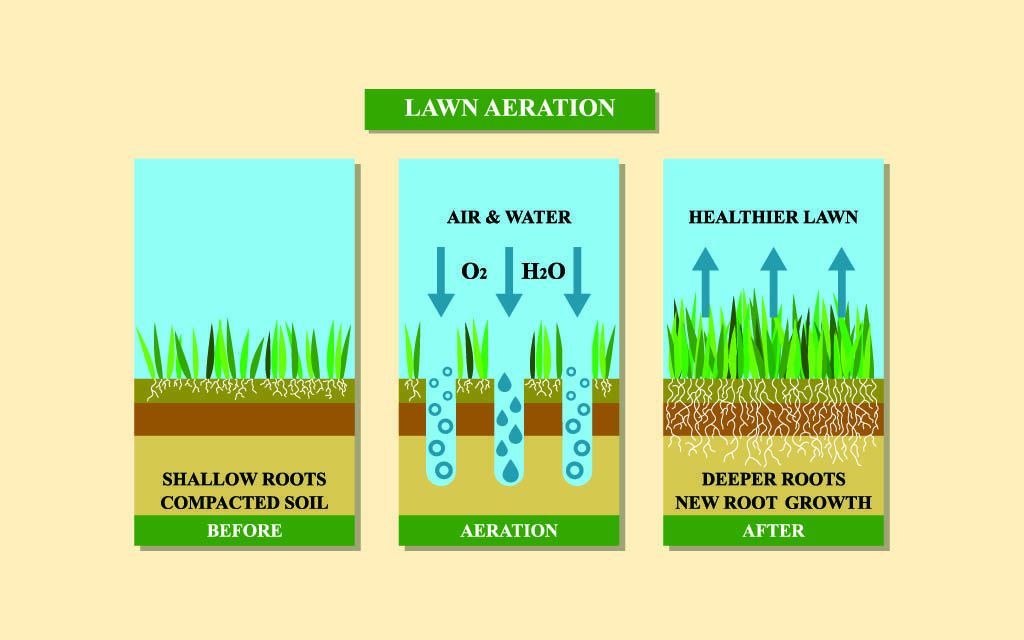 What Does Aerating A Lawn Do? What Is Lawn Aeration? with Understanding Solar Soil Aeration Technology for Better Grass Health