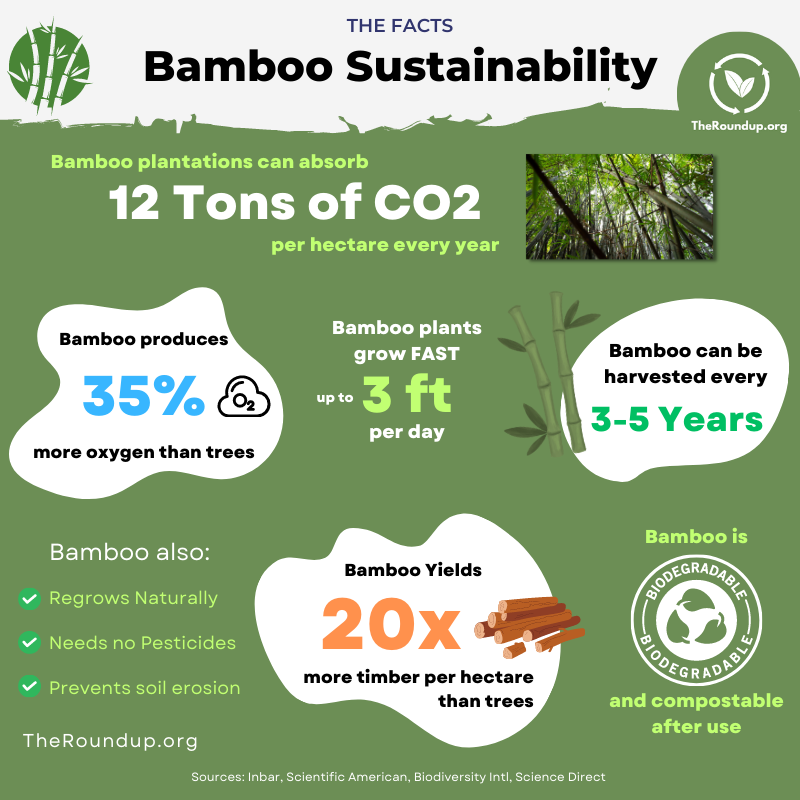 Why Is Bamboo Sustainable At Alyssa Camm Blog pertaining to Bamboo Garden Tool Grips Green