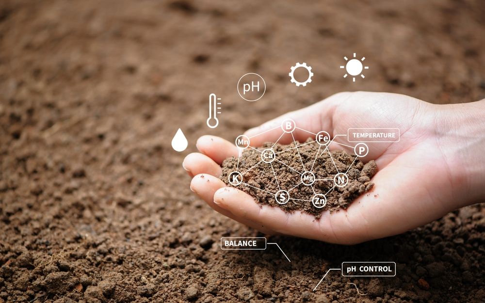 Wondering To Improve Soil Health? throughout Building better soil health through gentle and effective testing approaches