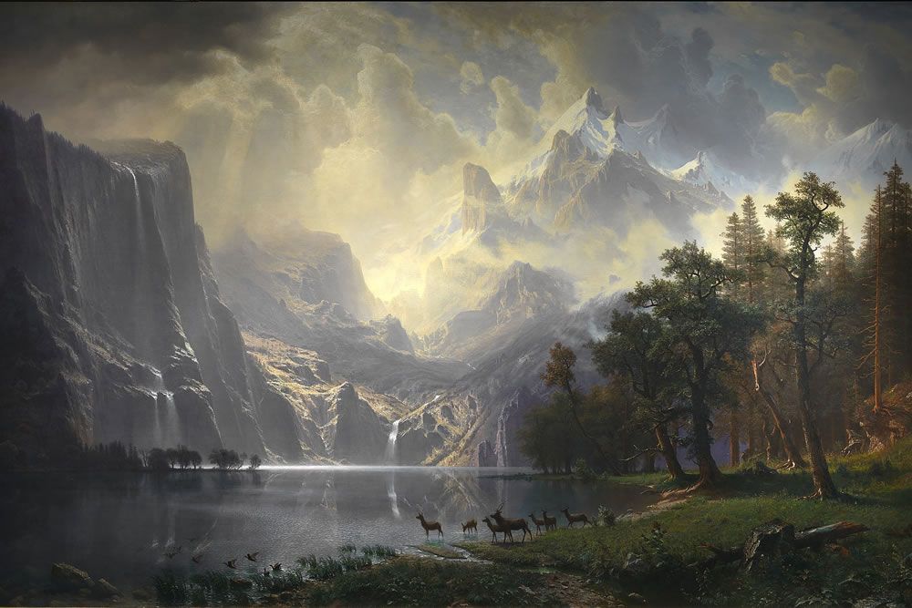 The Art and Science of Growing Beautiful Landscapes