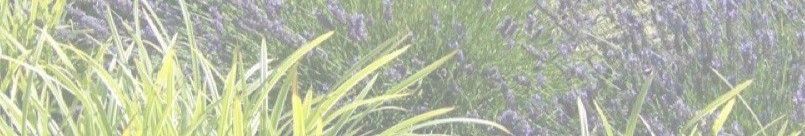 Arw Landscape Design | Linkedin pertaining to Arw Landscape Design