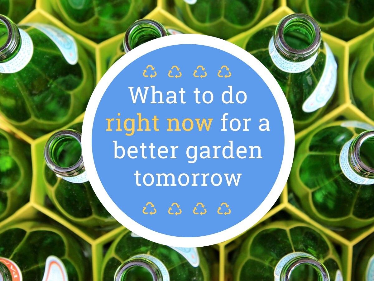 Building A Better Garden Tomorrow: Actions To Take Today - Gothic Arch ... with regard to Building Better Gardens: Insights from Capital Remodel & Garden Show Experts
