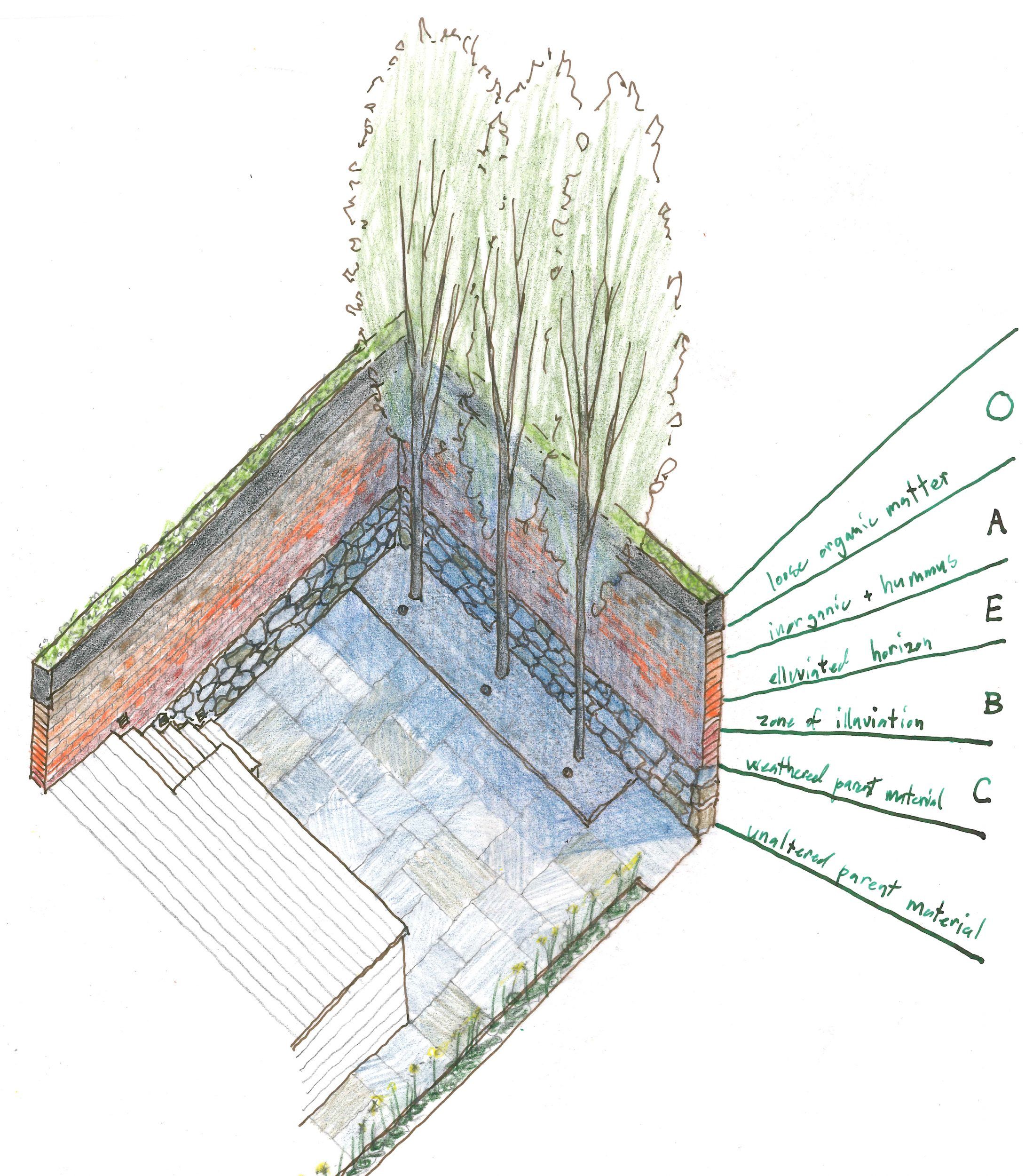 Capitol Hill Residence - Moody Graham intended for Moody Graham's Impact on Modern Landscape Architecture Practice