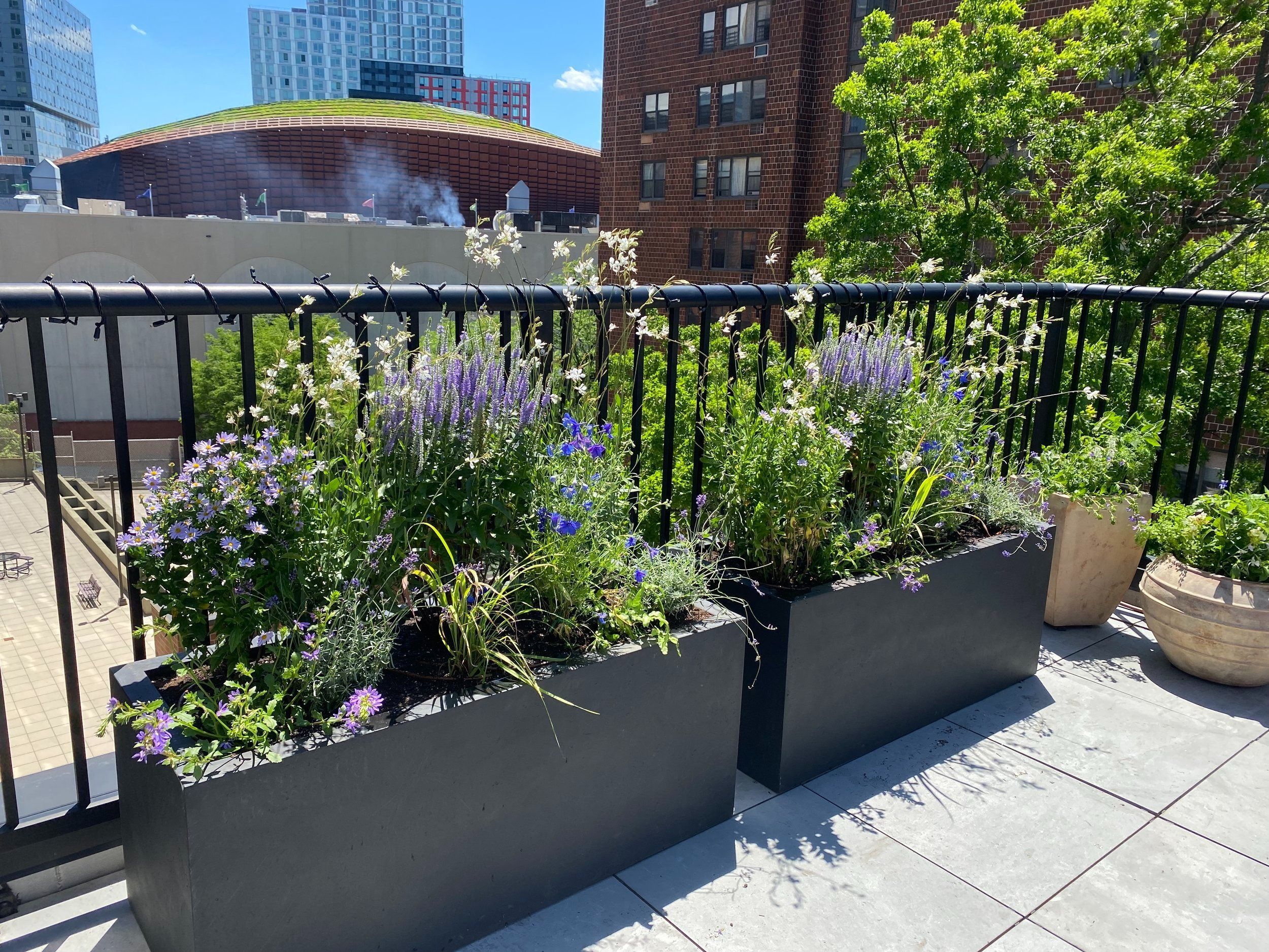 Christina Brown Gardens - Expert Garden Design In New York City pertaining to Christina Brown Gardens