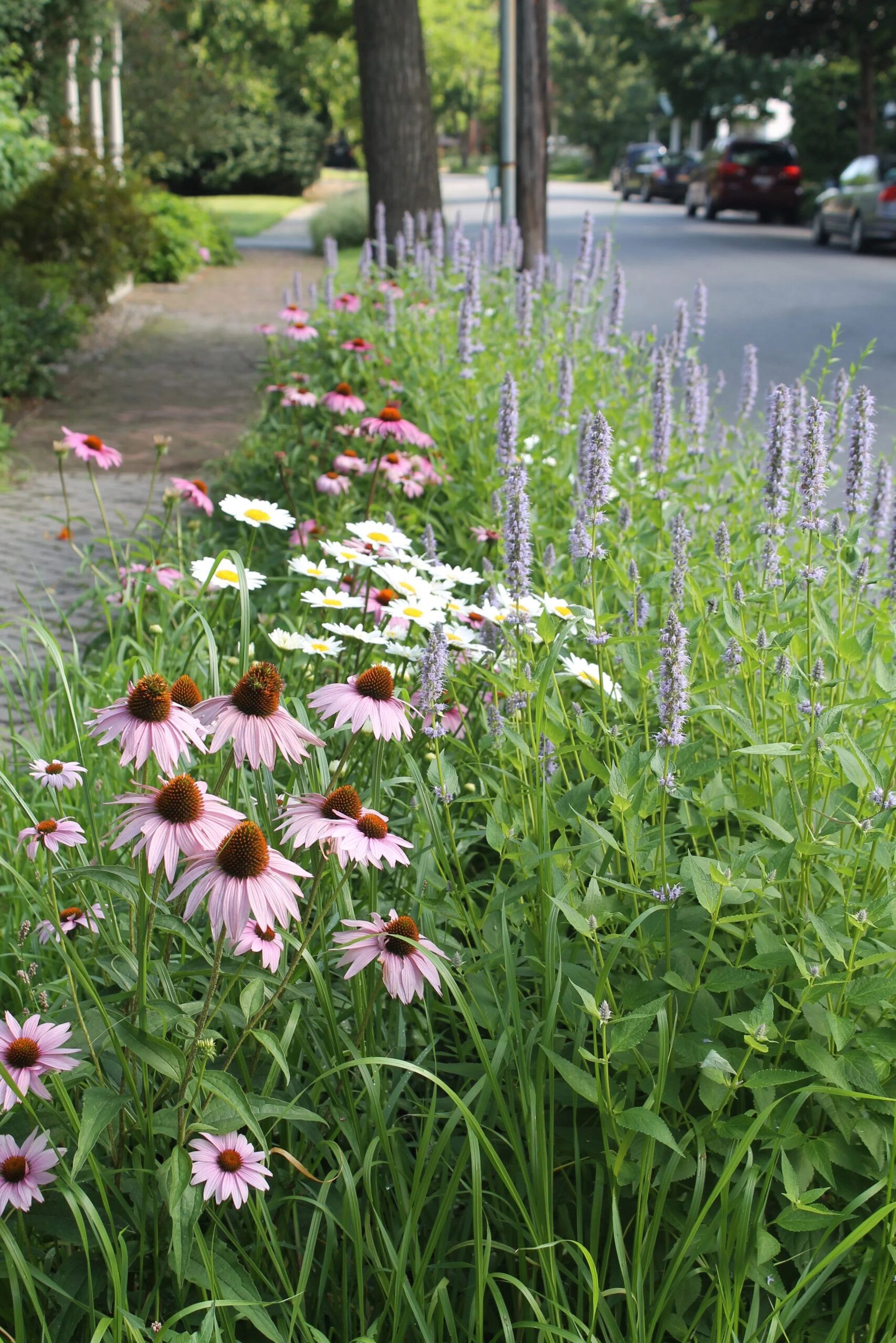 Christina Brown Gardens pertaining to Christina Brown Gardens