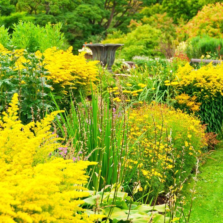 Elevate Your Garden With The Rule Of Three: A Pro Landscaping Trick For ... pertaining to Beyond the Ordinary: Elevating Your Garden Through Bespoke Planning