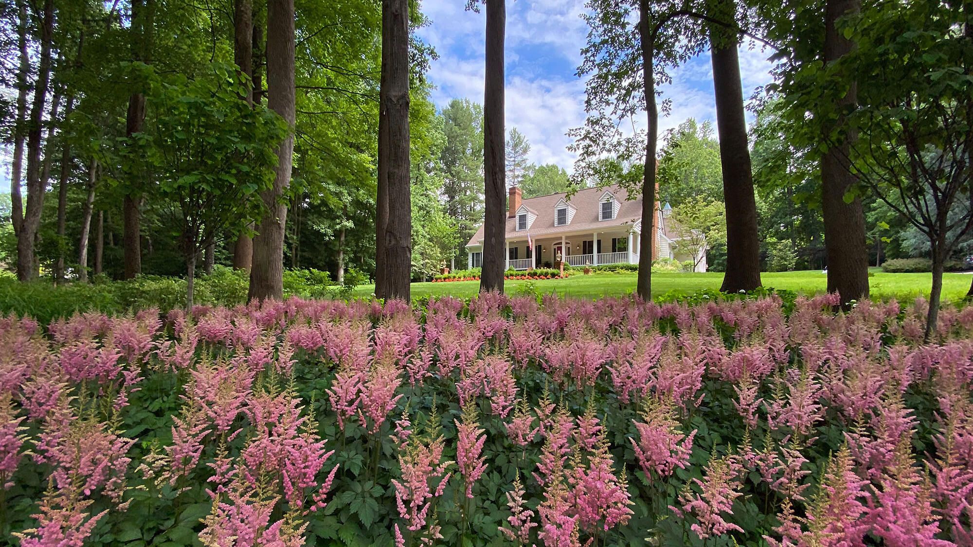 Home - Mchale Landscape for Mchale Landscape Design