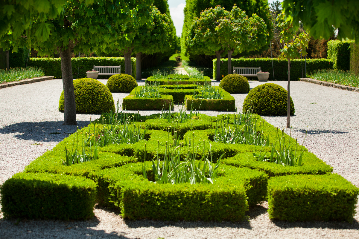 Understanding the Art of Garden Design with Flair