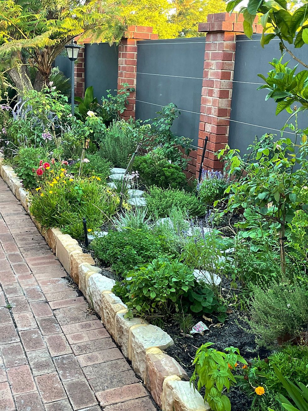 Mastering Plant Selection: Tips For Every Garden Style intended for Mastering Native Plant Selection for Chesapeake Shoreline Design