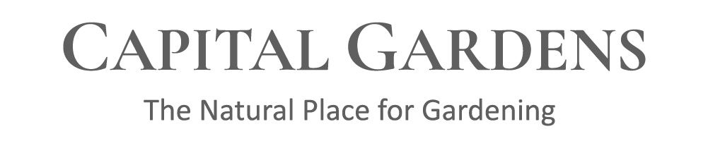 Plants For Windy And Exposed Places - Capital Gardens intended for Building Better Gardens: Insights from Capital Remodel & Garden Show Experts