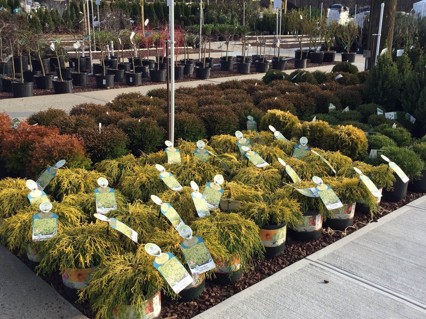 Products — Timothy's Center For Gardening regarding Exploring the Innovative Approach of Timothy's Center for Gardening Tech Bloc Store