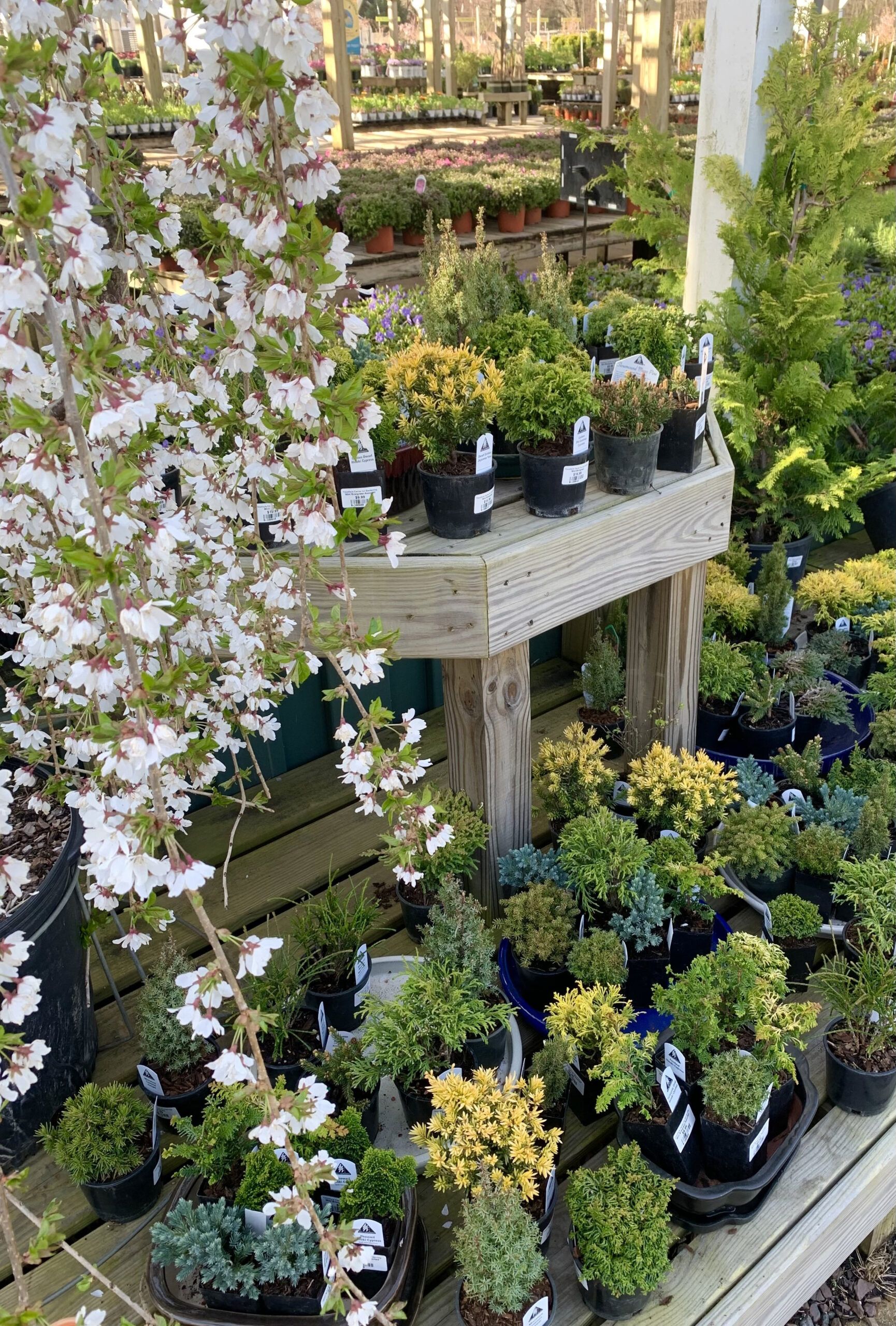 Products — Timothy's Center For Gardening with regard to Techo Bloc Store At Timothy's Center For Gardening