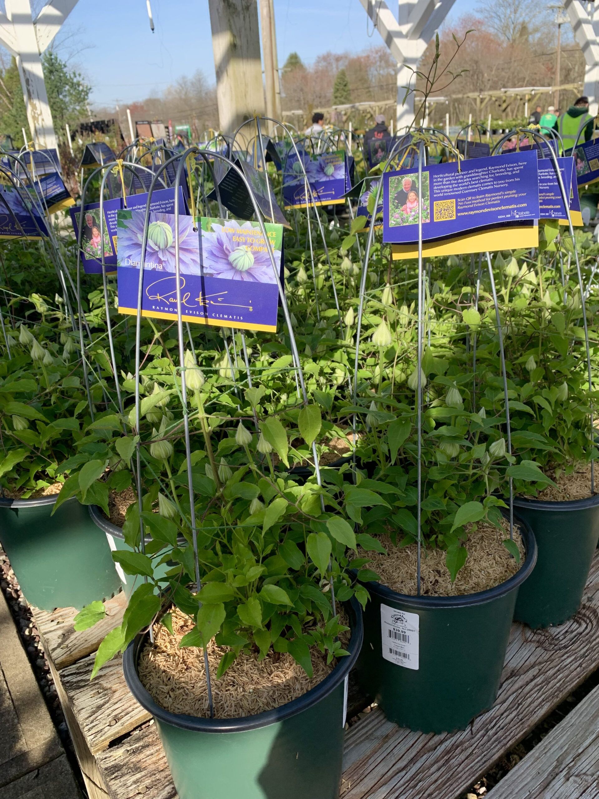 Exploring the Innovative Approach of Timothy’s Center for Gardening Tech Bloc Store