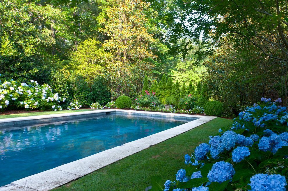 Rectangular Pool Designs Traditional With Hydrangea Outdoor Throw ... throughout English Garden Pool Ideas That Honor Traditional Landscape Design